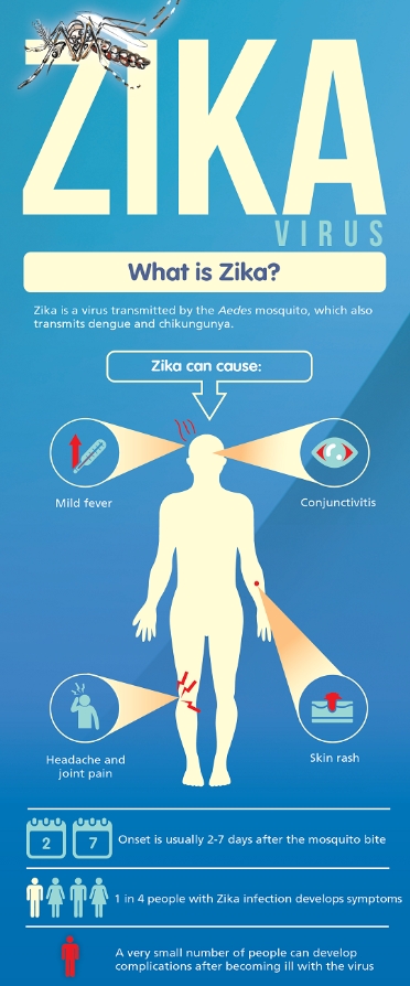 Zika infographic